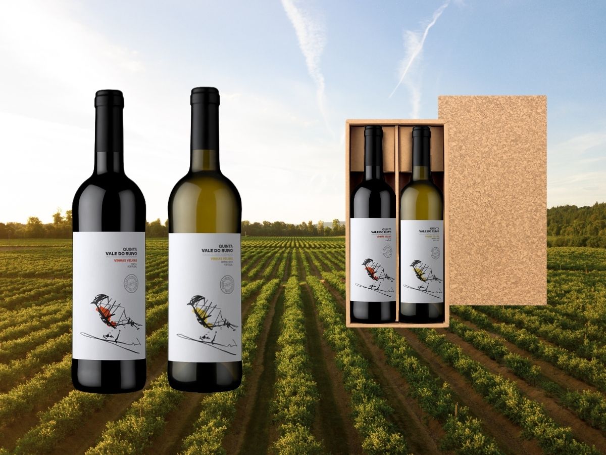 体や自然に優しい オーガニックワインセット