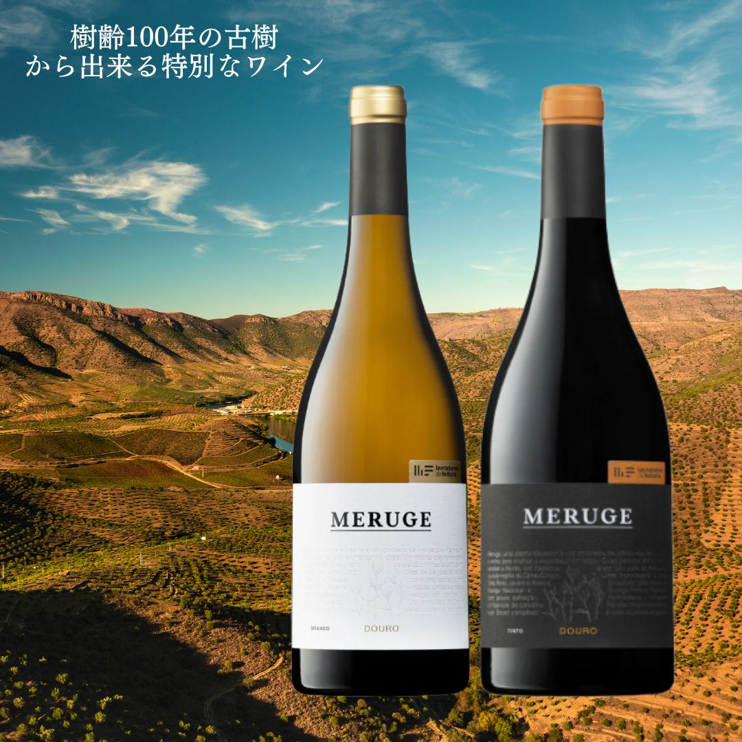 樹齢100年の古樹から出来るわずかな葡萄から造る極上のワインセット