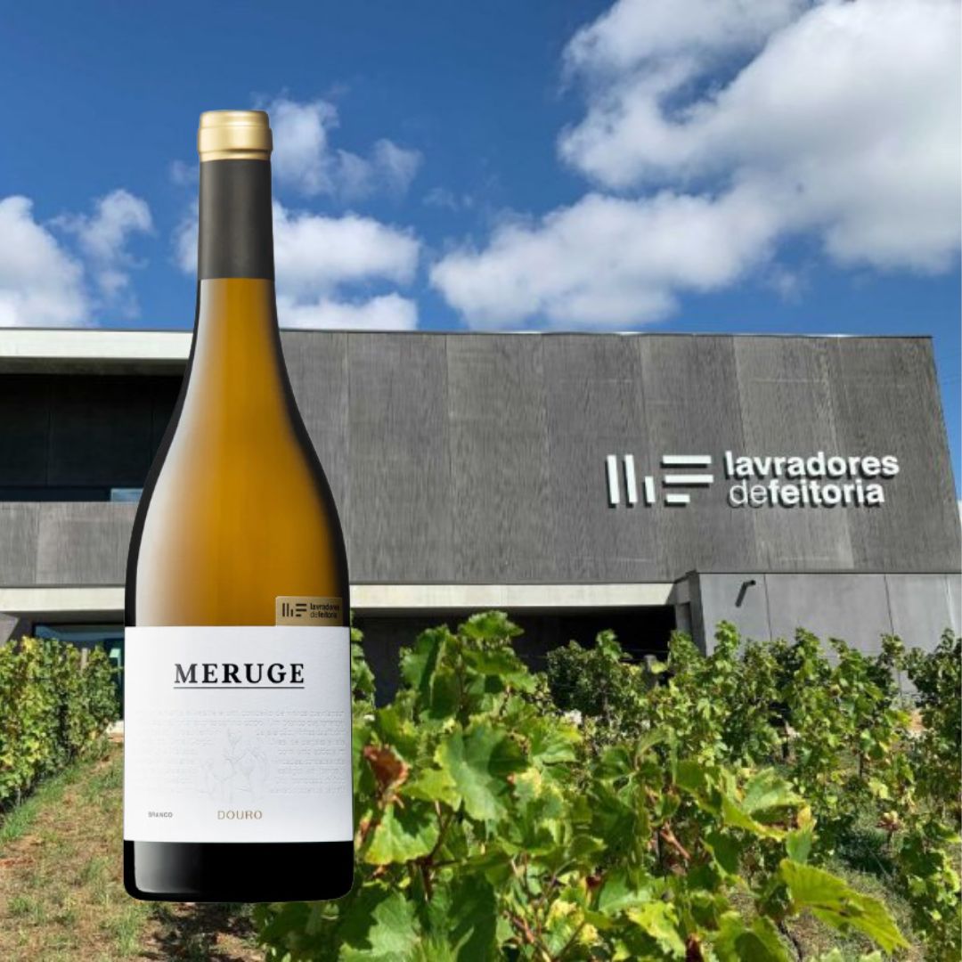 樹。 プレイバックインプレッション｜KAWASAKI Ninja ZX-25R SE KRT