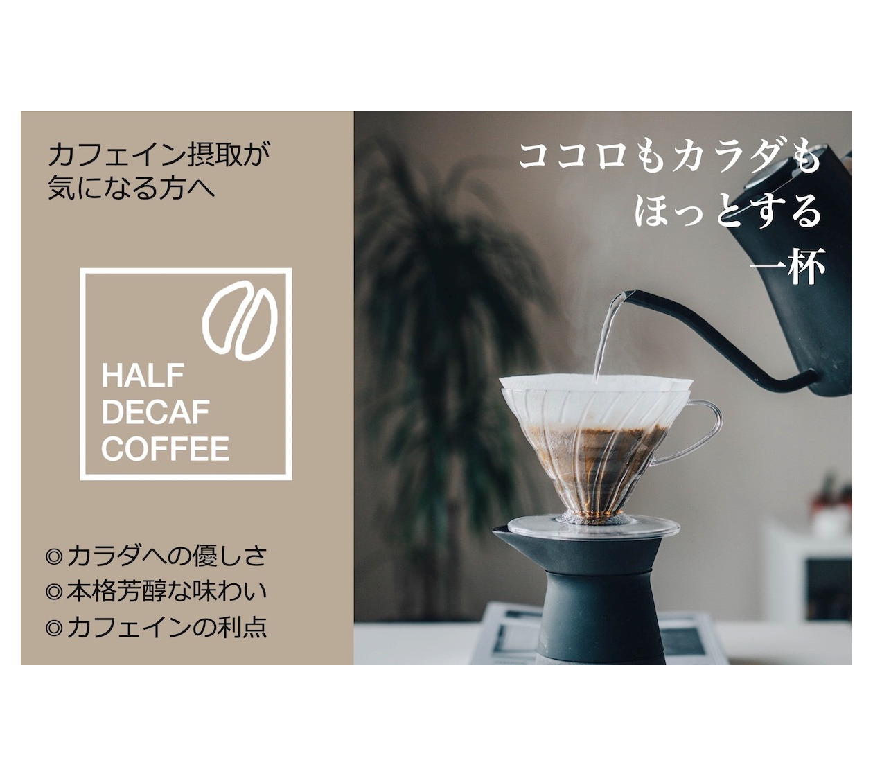 ギフトセット ハーフデカフェコーヒー豆2種（豆or粉）ハーフカフェインレスコーヒー