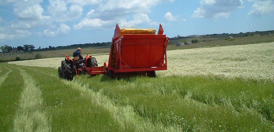 オーガニックハーブティー ミント 350ml  × 24本セット