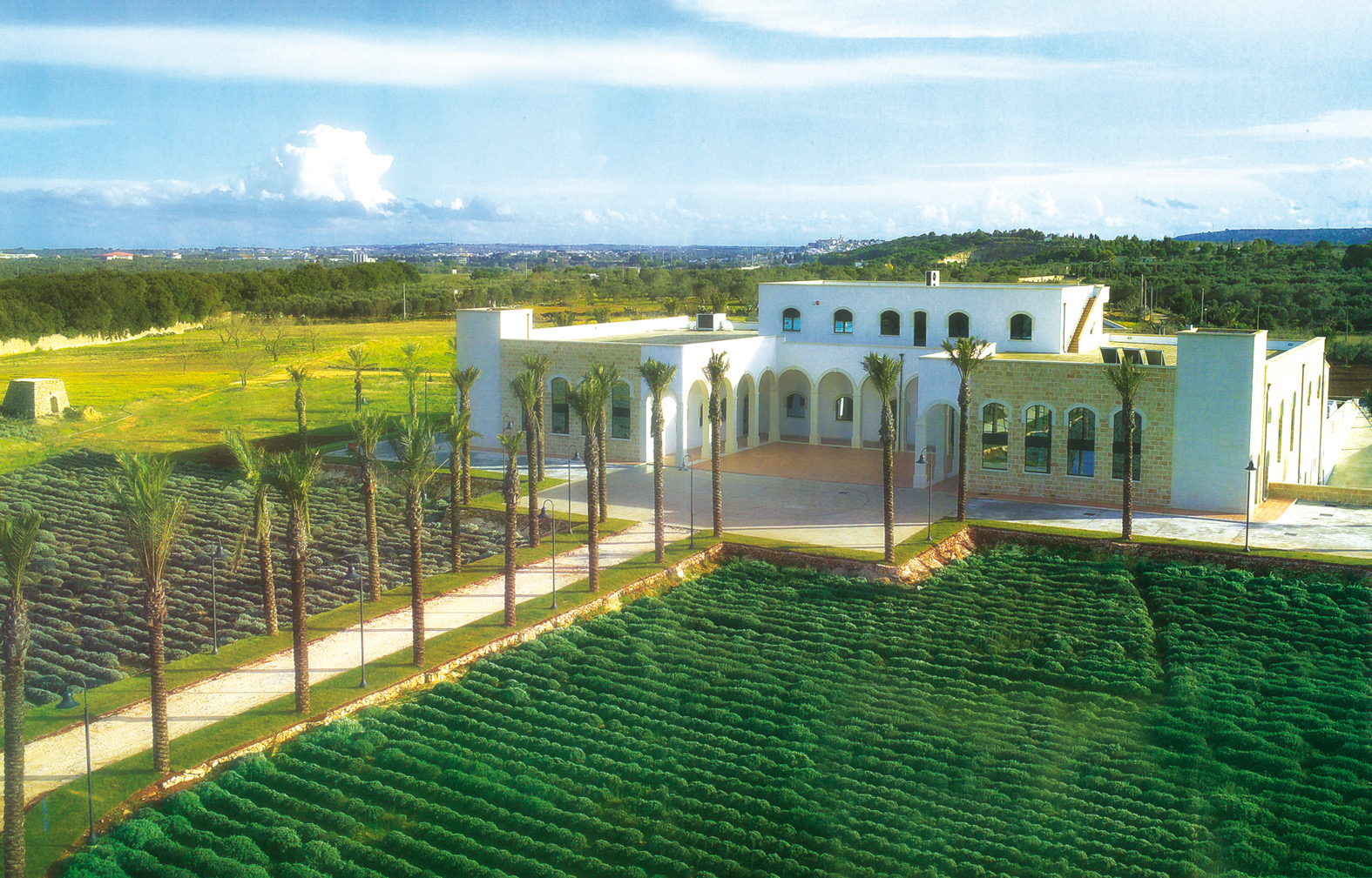 オーガニックハーブティー ミント 350ml  × 24本セット