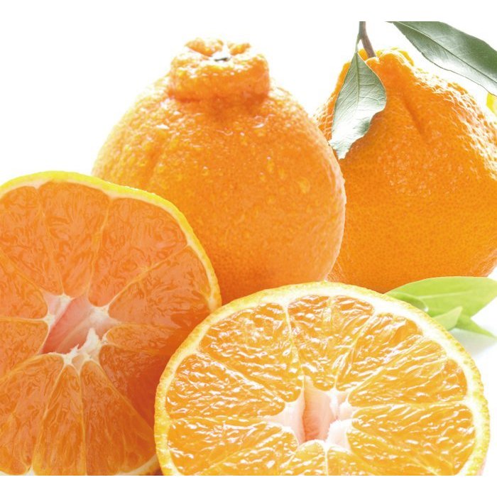 ジャパンプレミアム2本セット