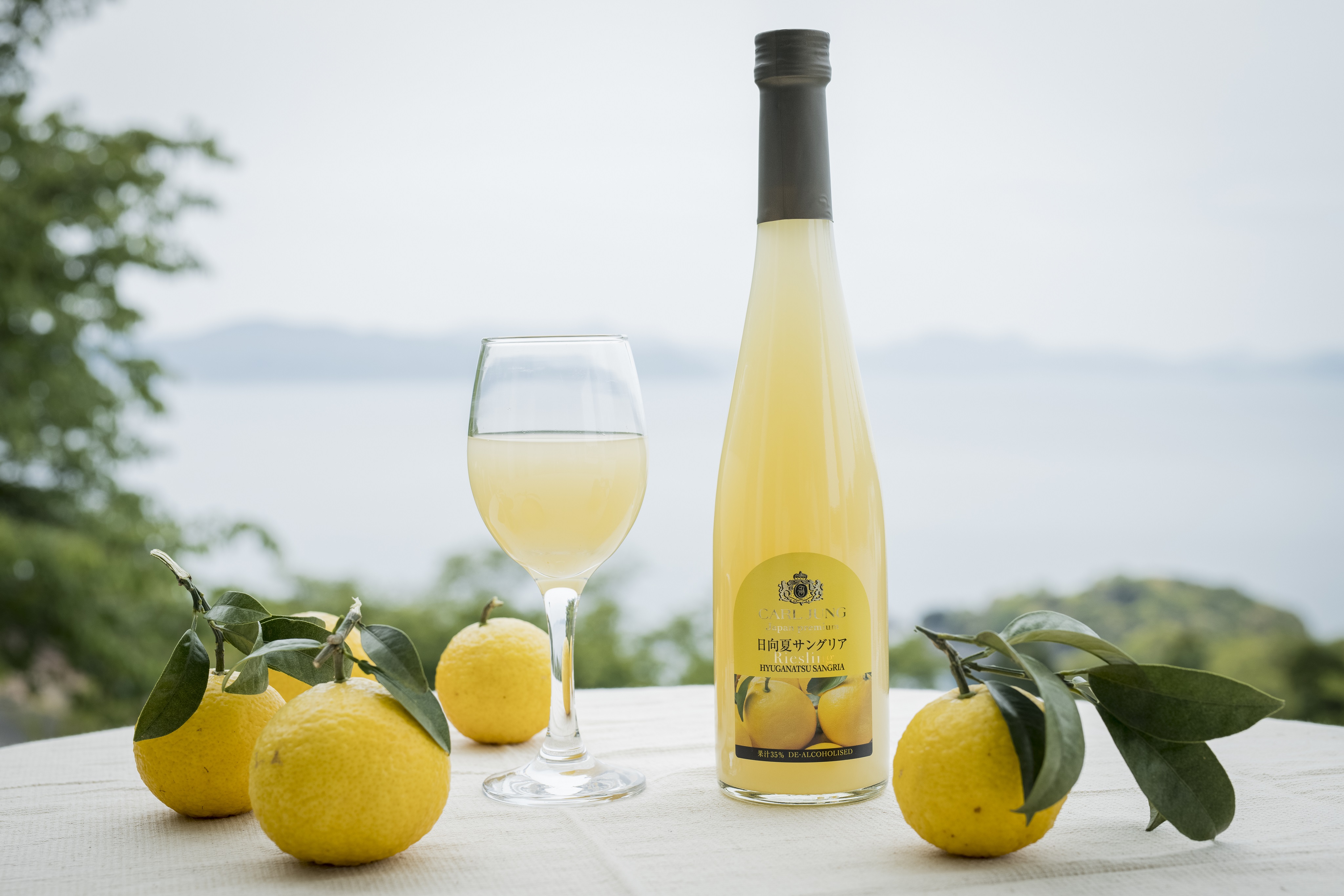 ジャパンプレミアム2本セット