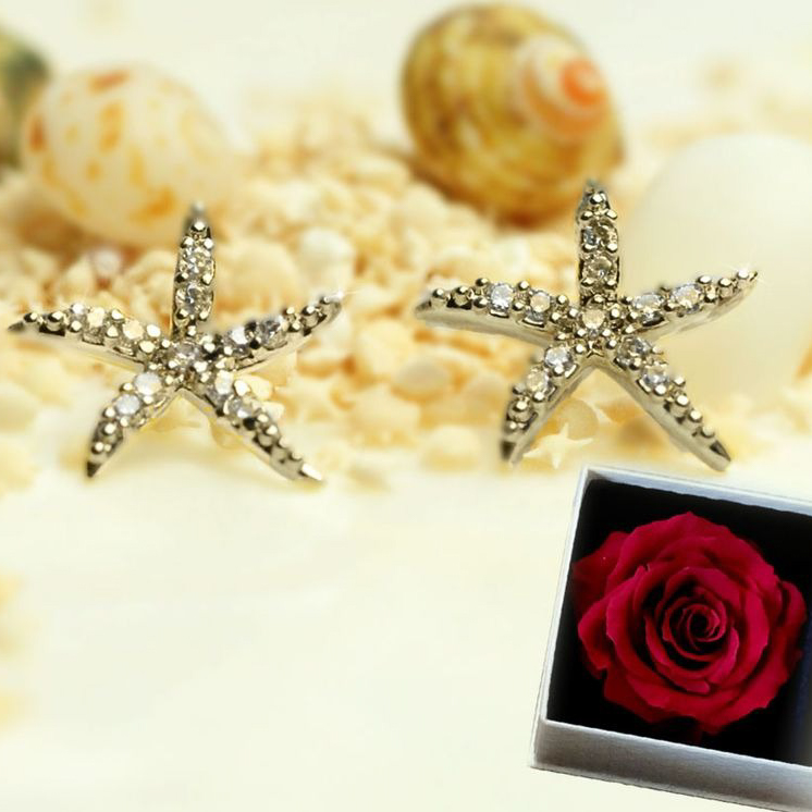 【Clementia】14K ポスト スター フィッシュ ピアス