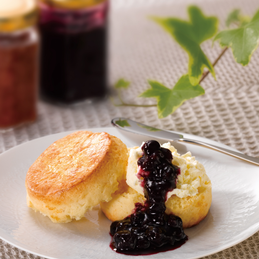 VENT OUEST（ヴァンウェスト）  e-order choice＜オランジュ-C＞