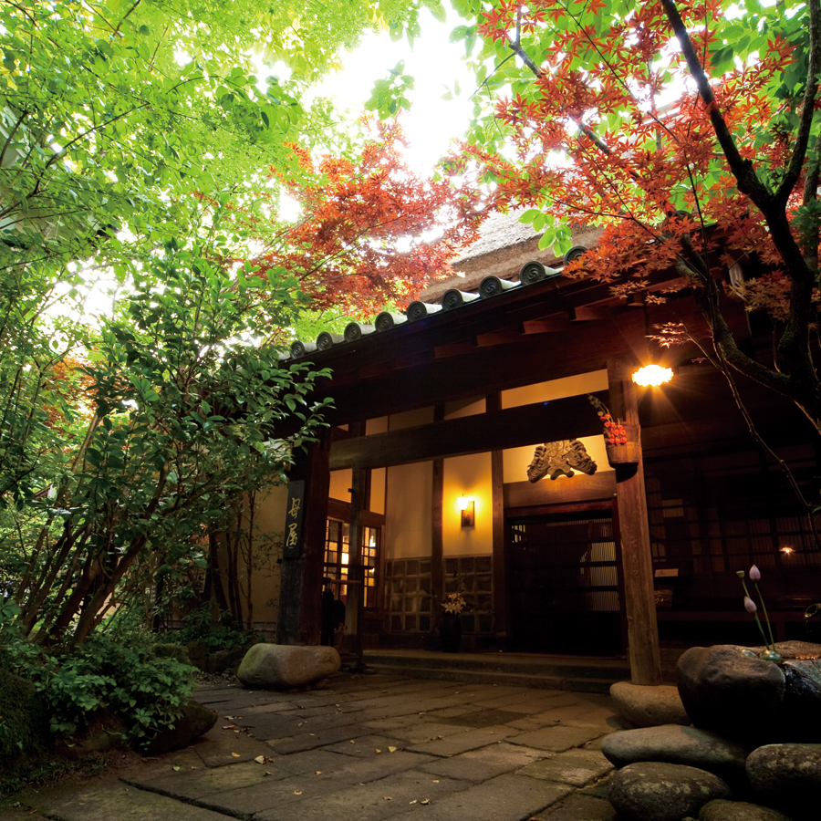 VENT OUEST（ヴァンウェスト）  e-order choice＜オランジュ-C＞