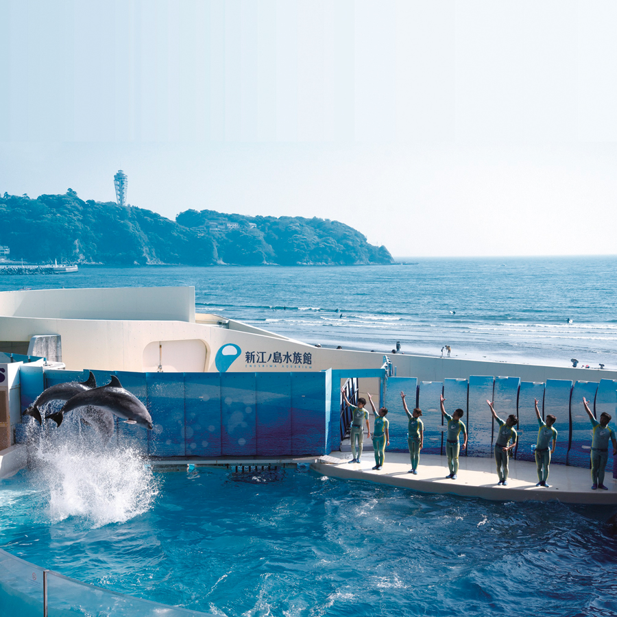 VENT OUEST（ヴァンウェスト）  e-order choice＜オランジュ-C＞