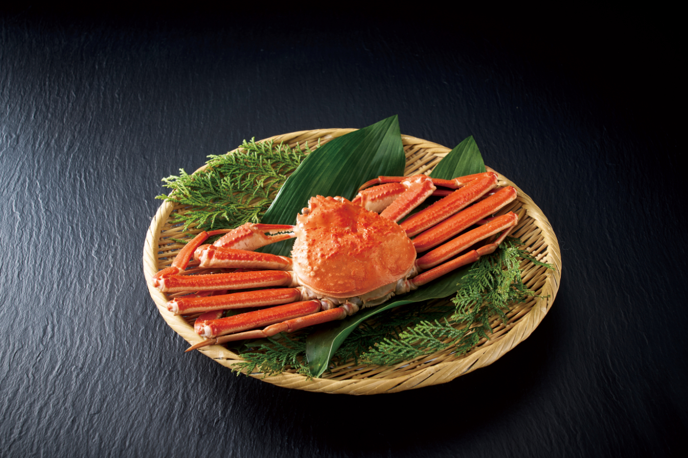 uluao（ウルアオ）＜ヘッセニア＞