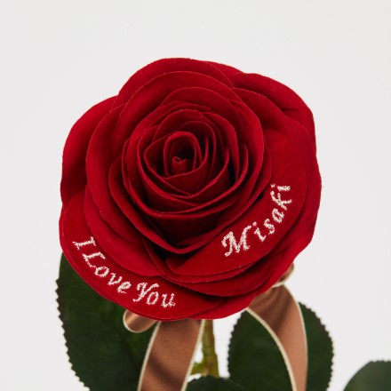 【超速サービス】メッセージローズ赤バラ（バラと花瓶のセットギフト）