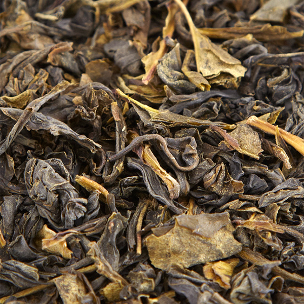 緑茶 Queen of Green 15パック