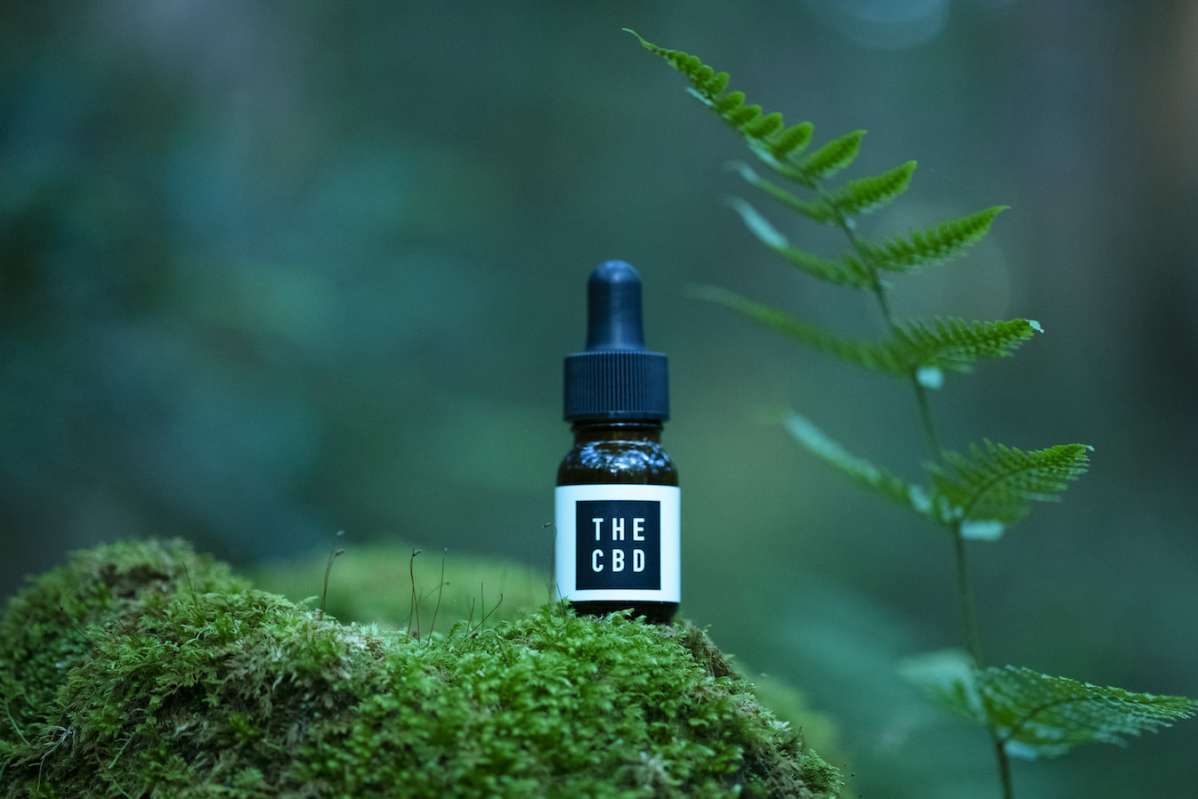 CBD OIL 10ML