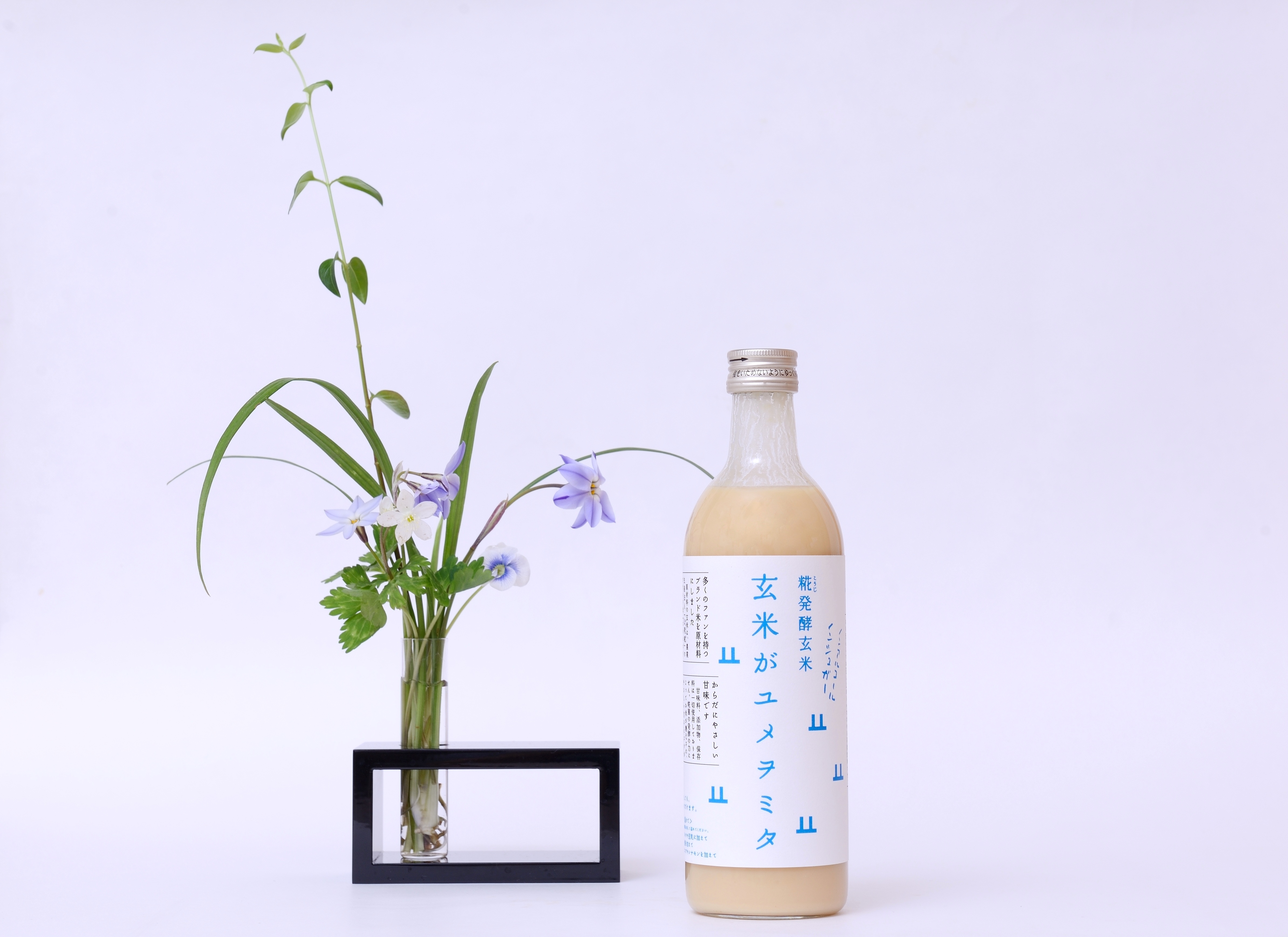 玄米甘酒 玄米がユメヲミタ