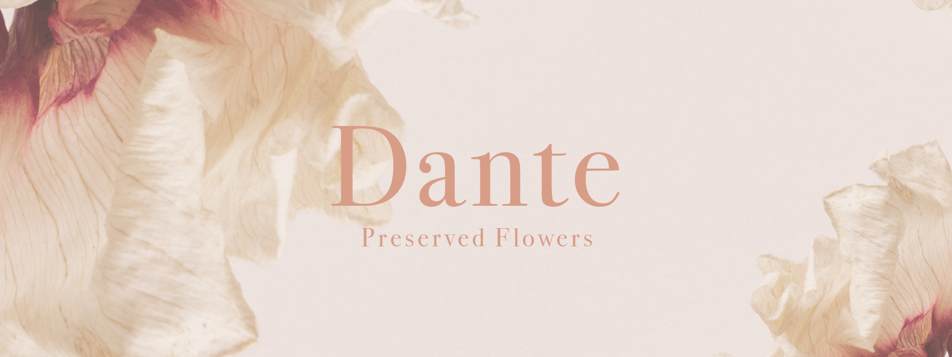 PENT キューブ｜Dante｜プリザーブドフラワー
