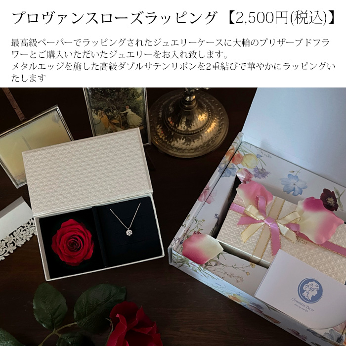 【Clementia】ケイト ダイヤモンド プラチナ ネックレス