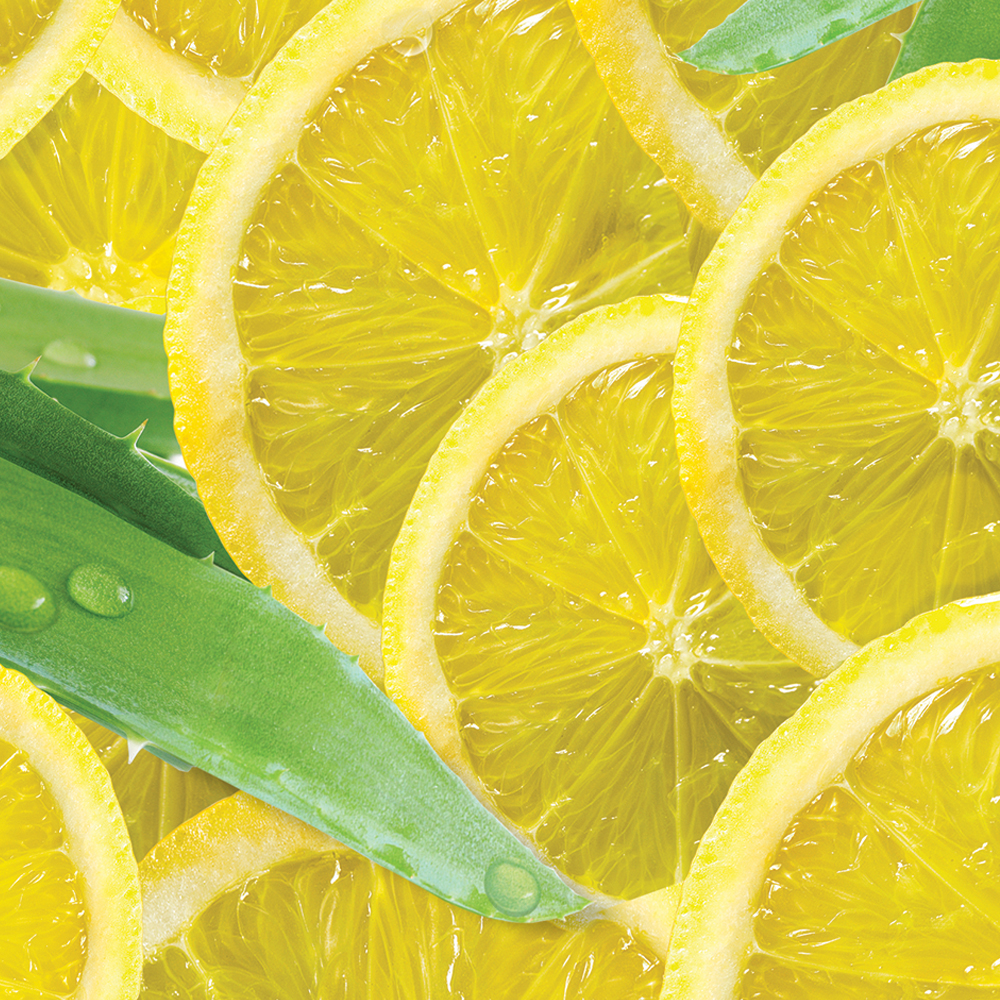 クシオ おうちdeサロンケア　ホワイトライム＆アロエベラ