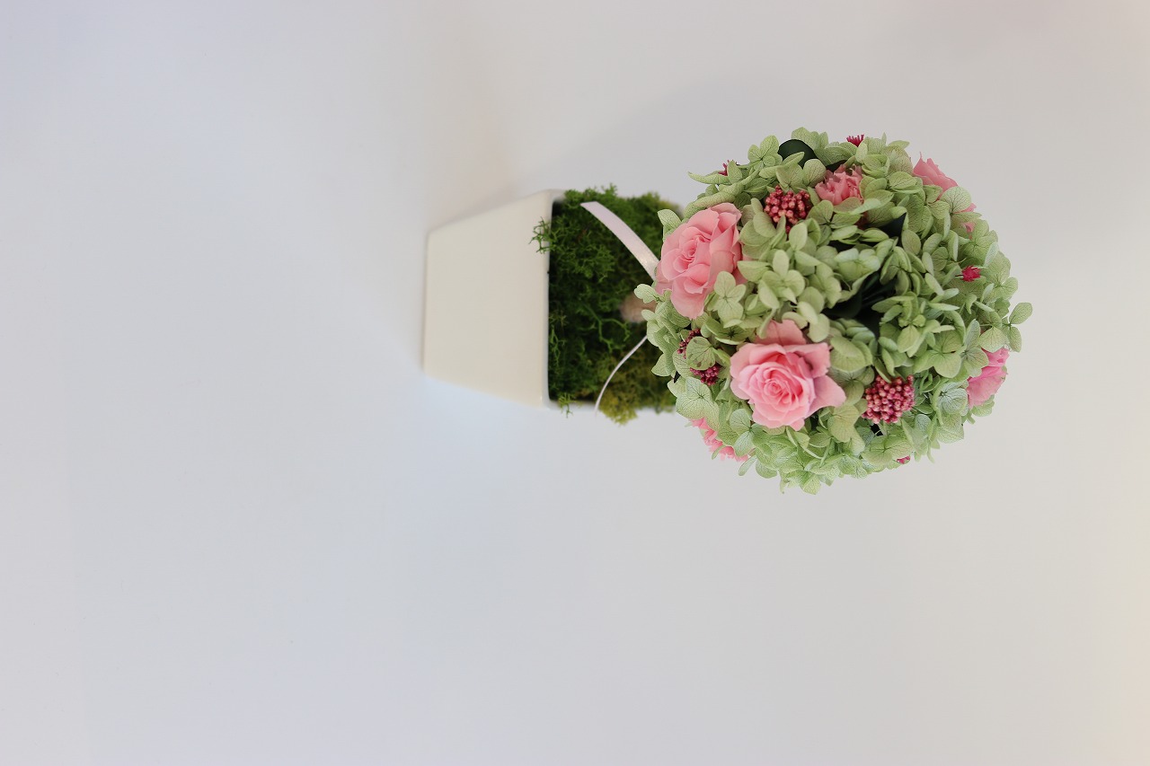 トピアリー グローヴ