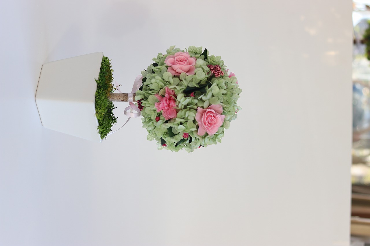 トピアリー グローヴ