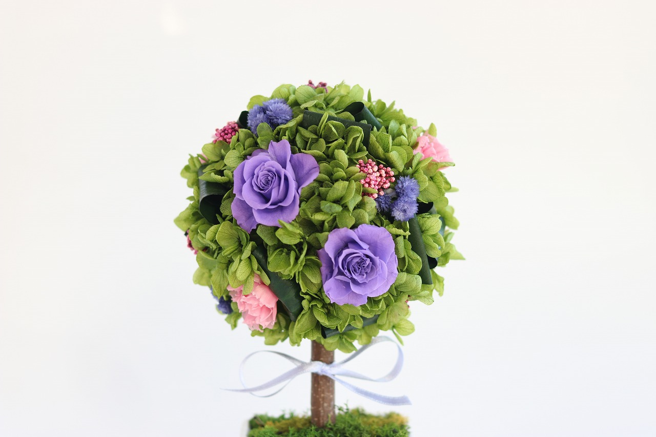 トピアリー グローヴ