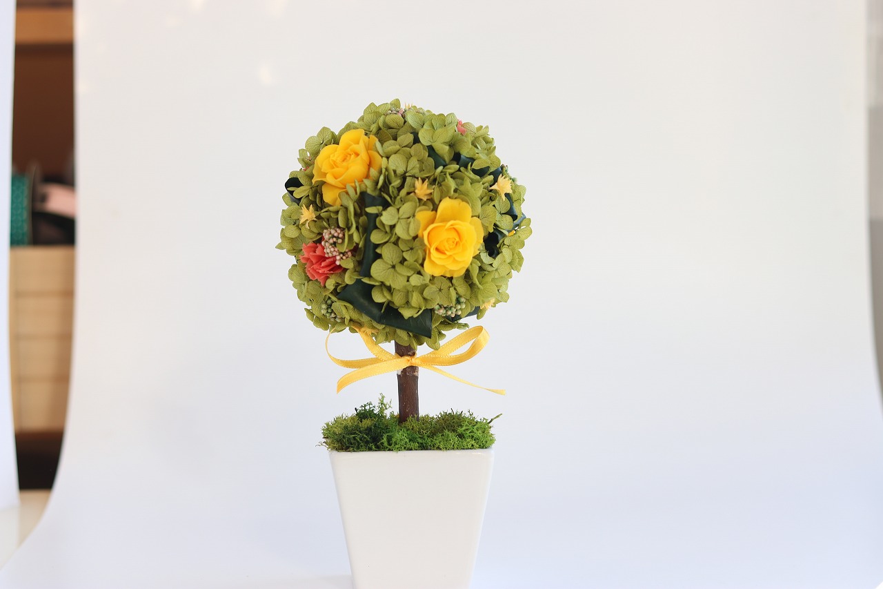 トピアリー グローヴ