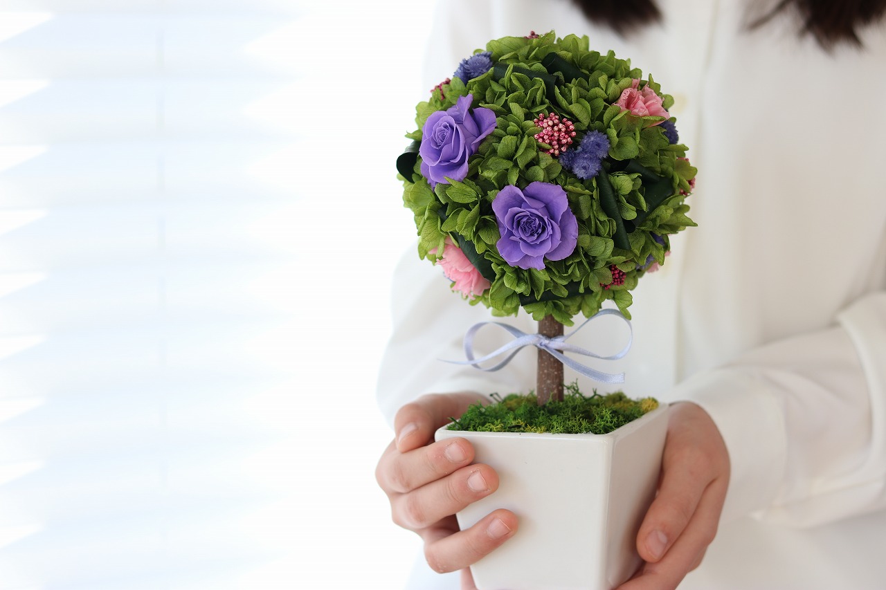 トピアリー グローヴ