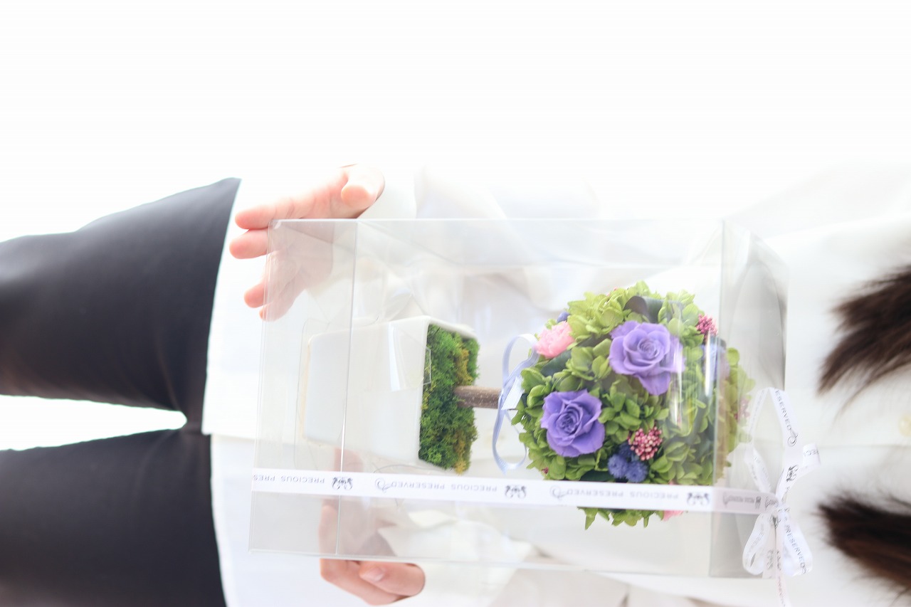 トピアリー グローヴ