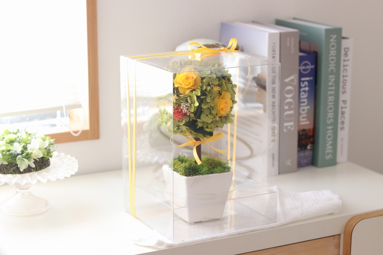 トピアリー グローヴ