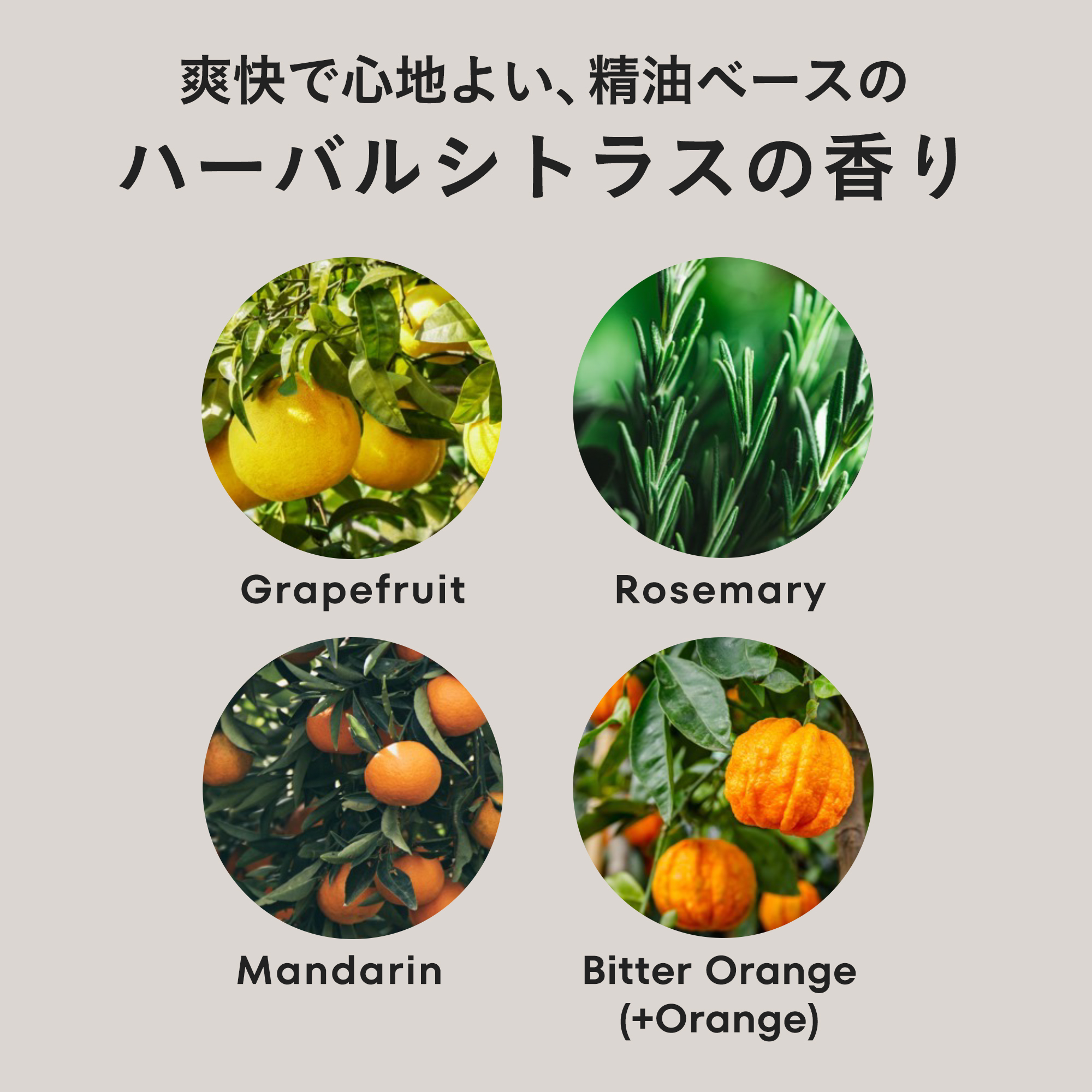 パフォーマンスツール　ボックスセット《オリジナルポーチ＋ミニタオル付き》