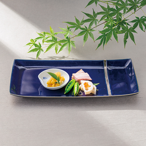 蒼銀 おもてなし長角皿