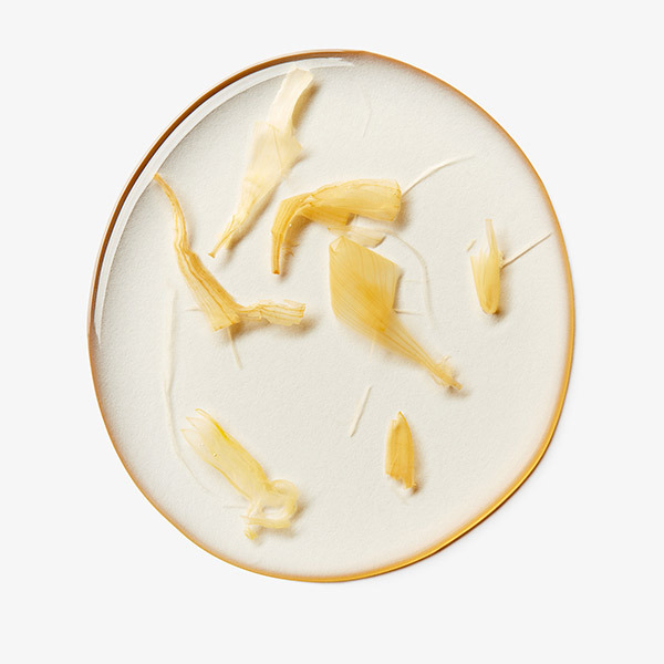 ハーバルトナーCL アルコールフリー