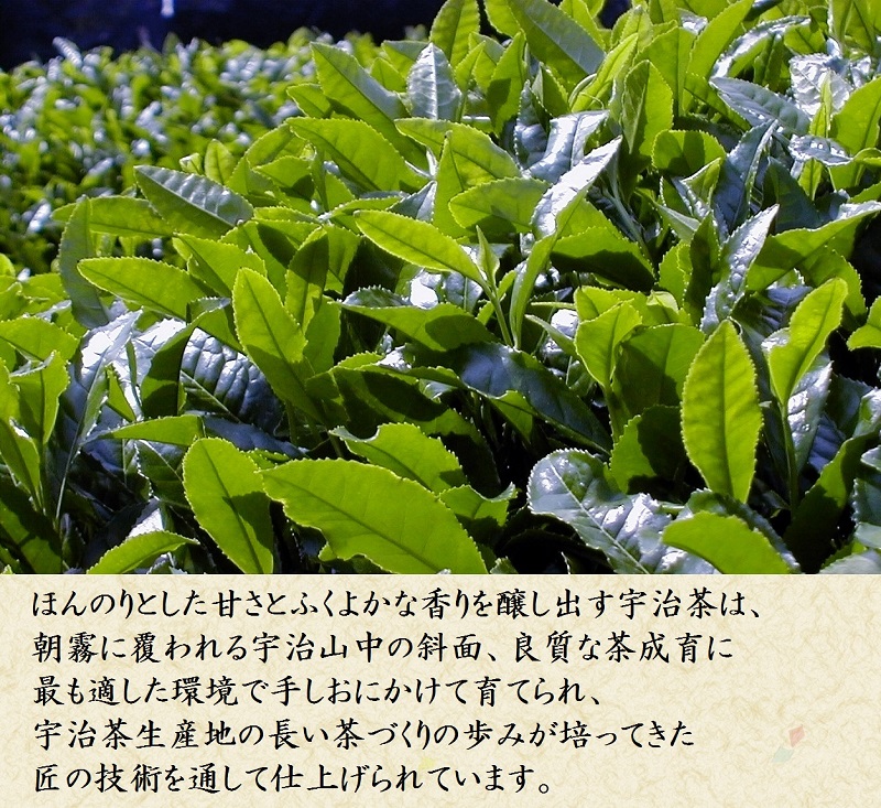 宇治茶ギフト 120ｇ×3本入り　【煎茶・玉露・深蒸し茶】誕生日 お茶 プレゼント 日本茶 緑茶 茶葉 お歳暮 御歳暮