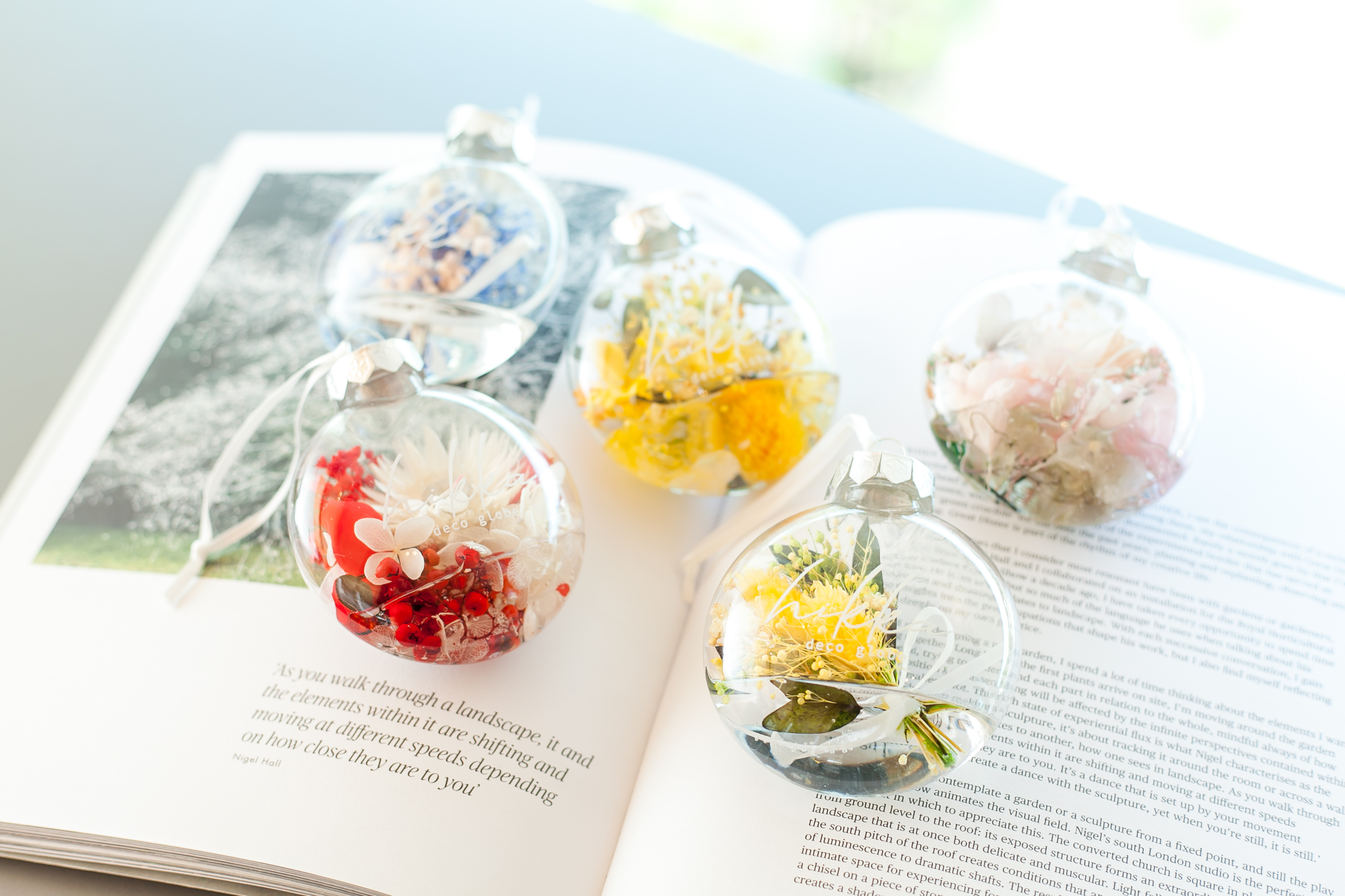 グローブ　スタンダート