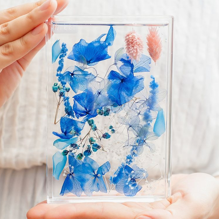 ブルームアクア　フレームS　全11種