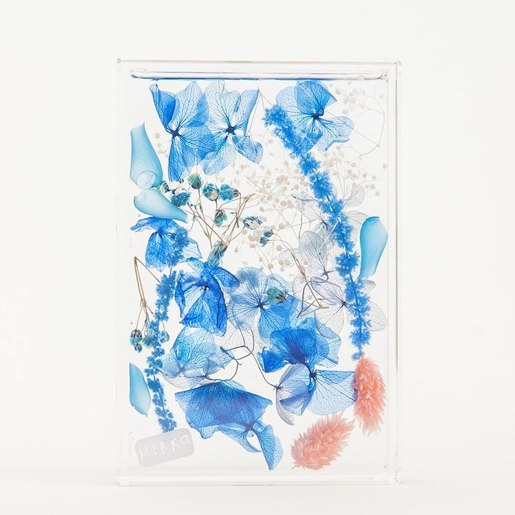 ブルームアクア　フレームS　全11種