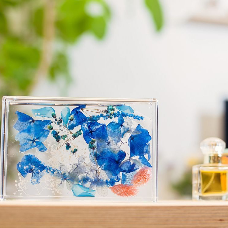 ブルームアクア　フレームS　全11種