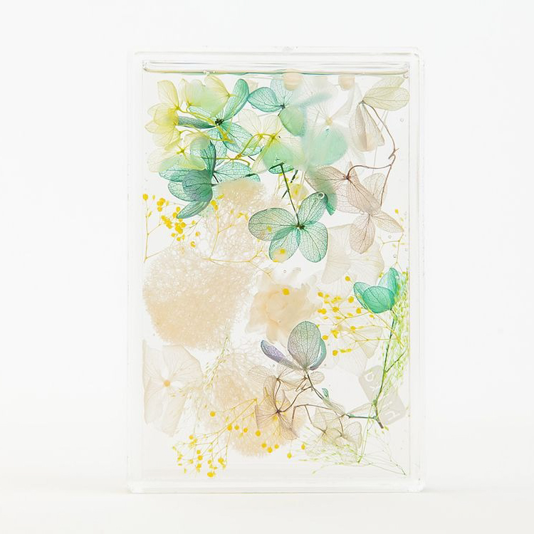 ブルームアクア　フレームS　全11種