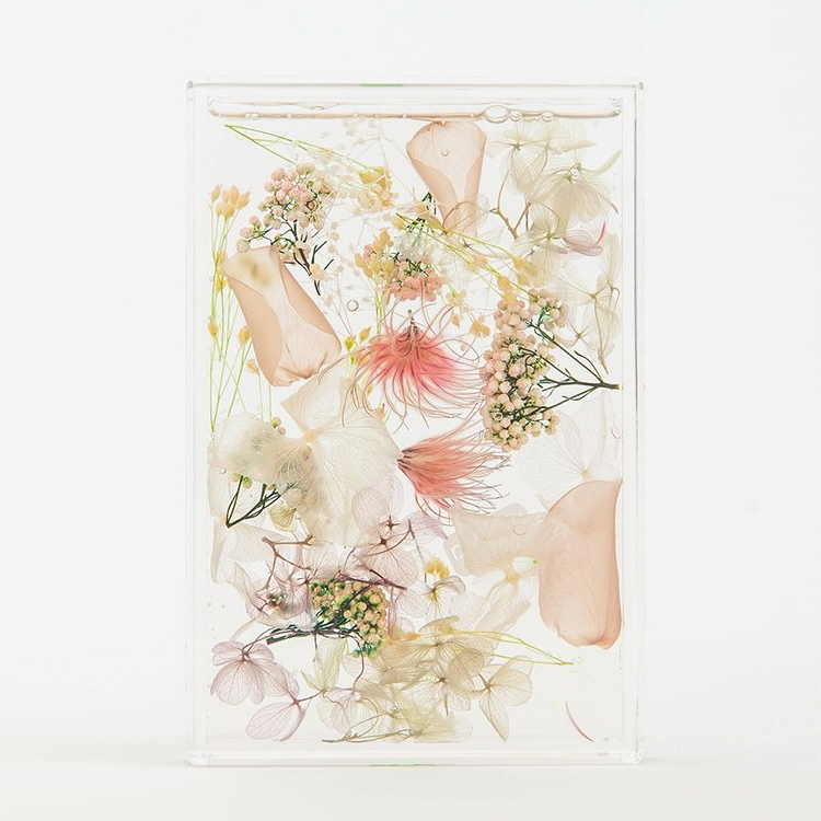 ブルームアクア　フレームS　全11種