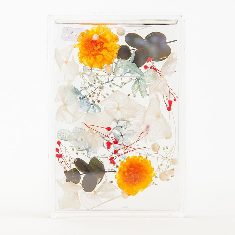 ブルームアクア　フレームS　全11種