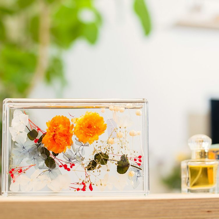 ブルームアクア　フレームS　全11種