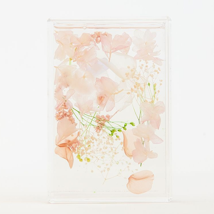 ブルームアクア　フレームS　全11種