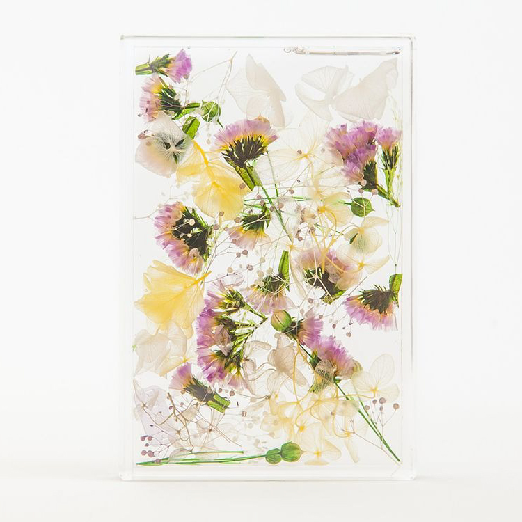 ブルームアクア　フレームS　全11種