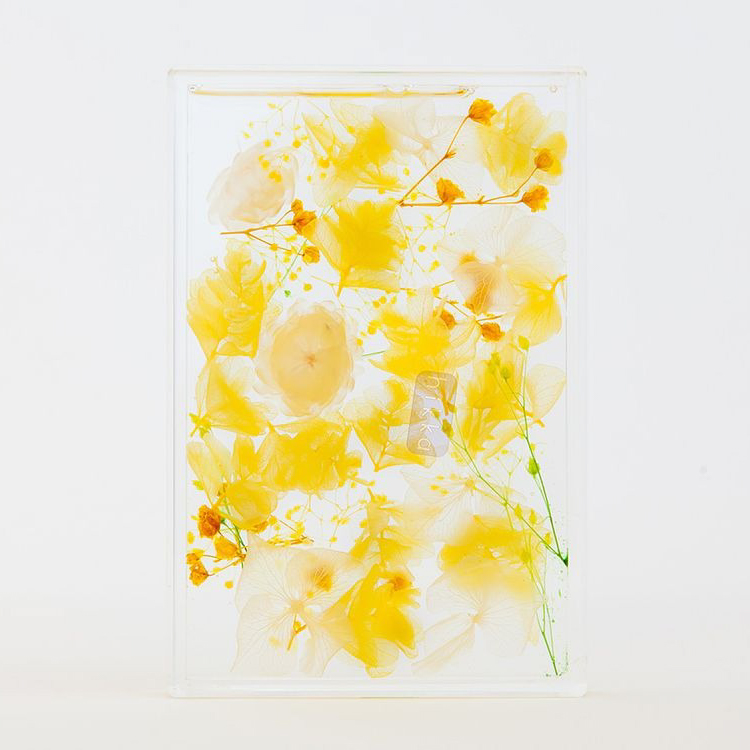 ブルームアクア　フレームS　全11種