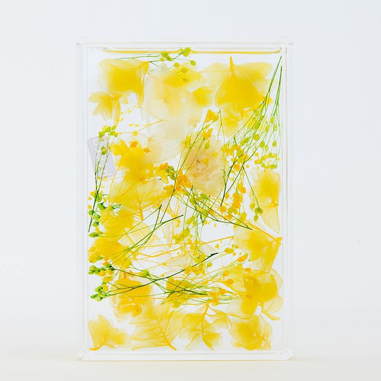 ブルームアクア　フレームS　全11種