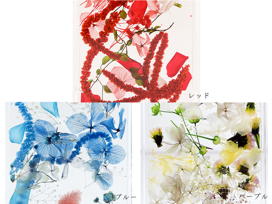 ブルームアクア　フレームS　全11種