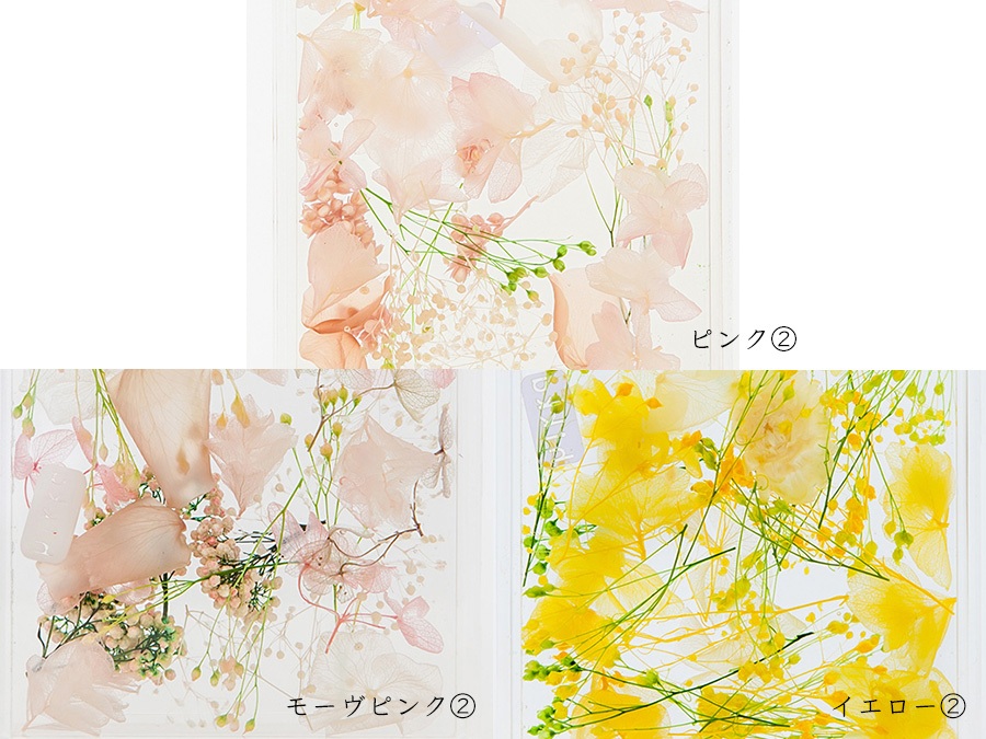 ブルームアクア　フレームS　全11種