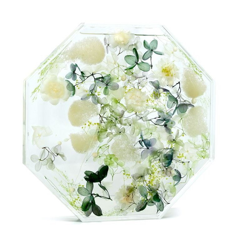 ブルームアクア　オクタゴンL　全6種