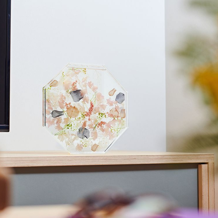 ブルームアクア　オクタゴンL　全6種