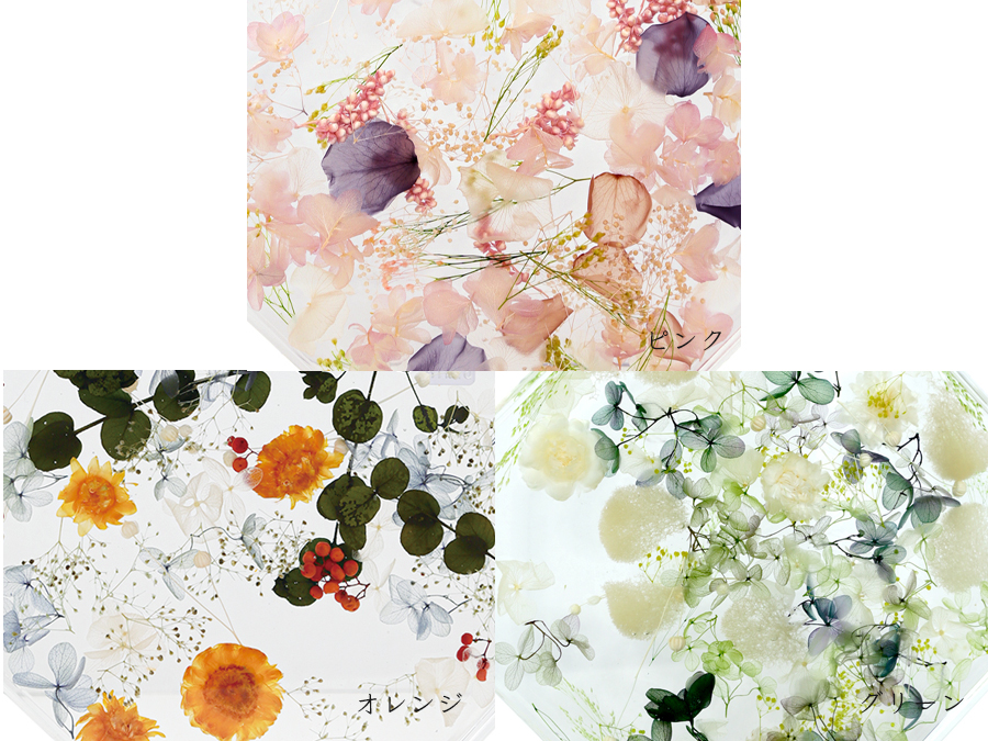 ブルームアクア　オクタゴンL　全6種