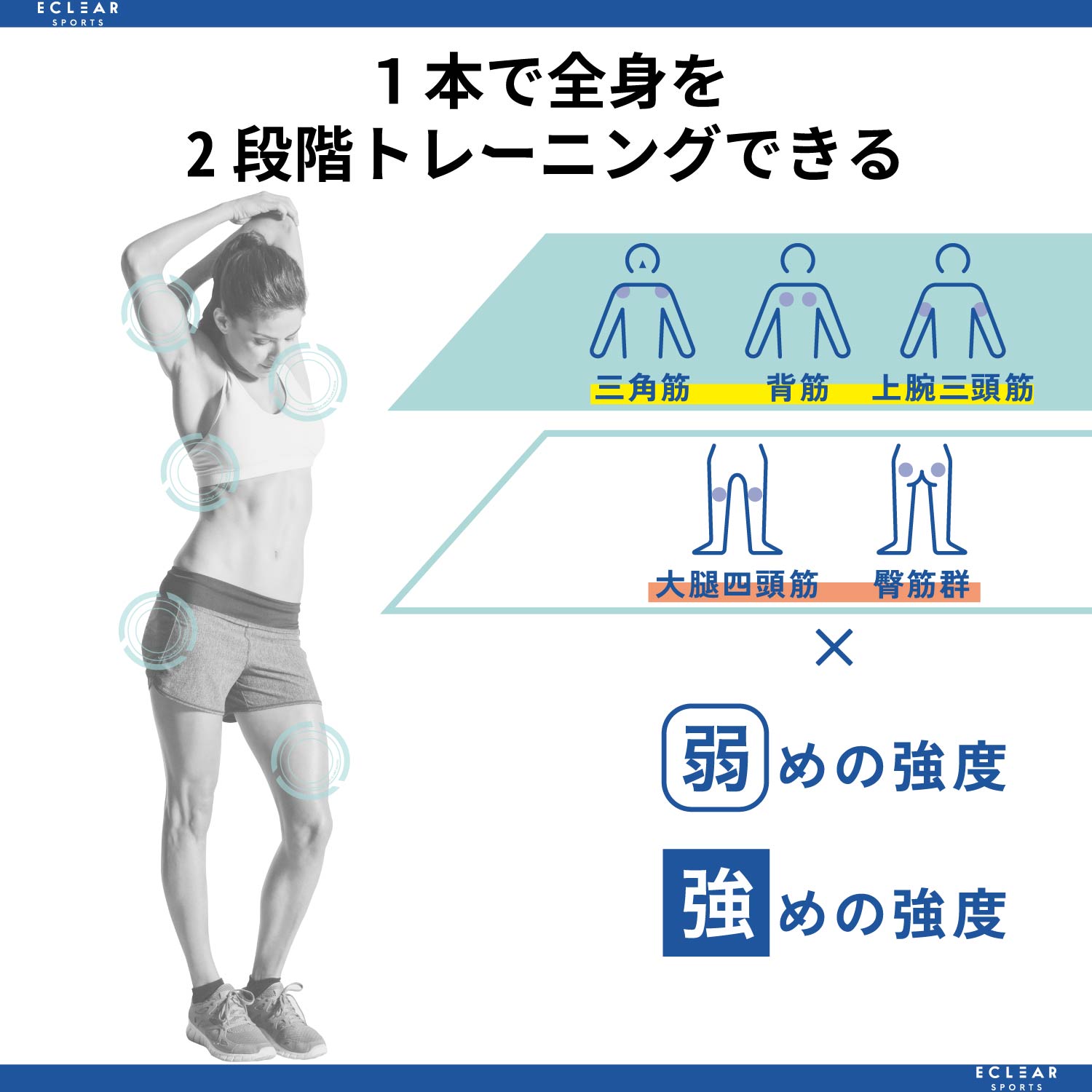 【TANP HOBBY】筋トレ好きに贈るプロテインシェイカー＆トレーニングバンドセット
