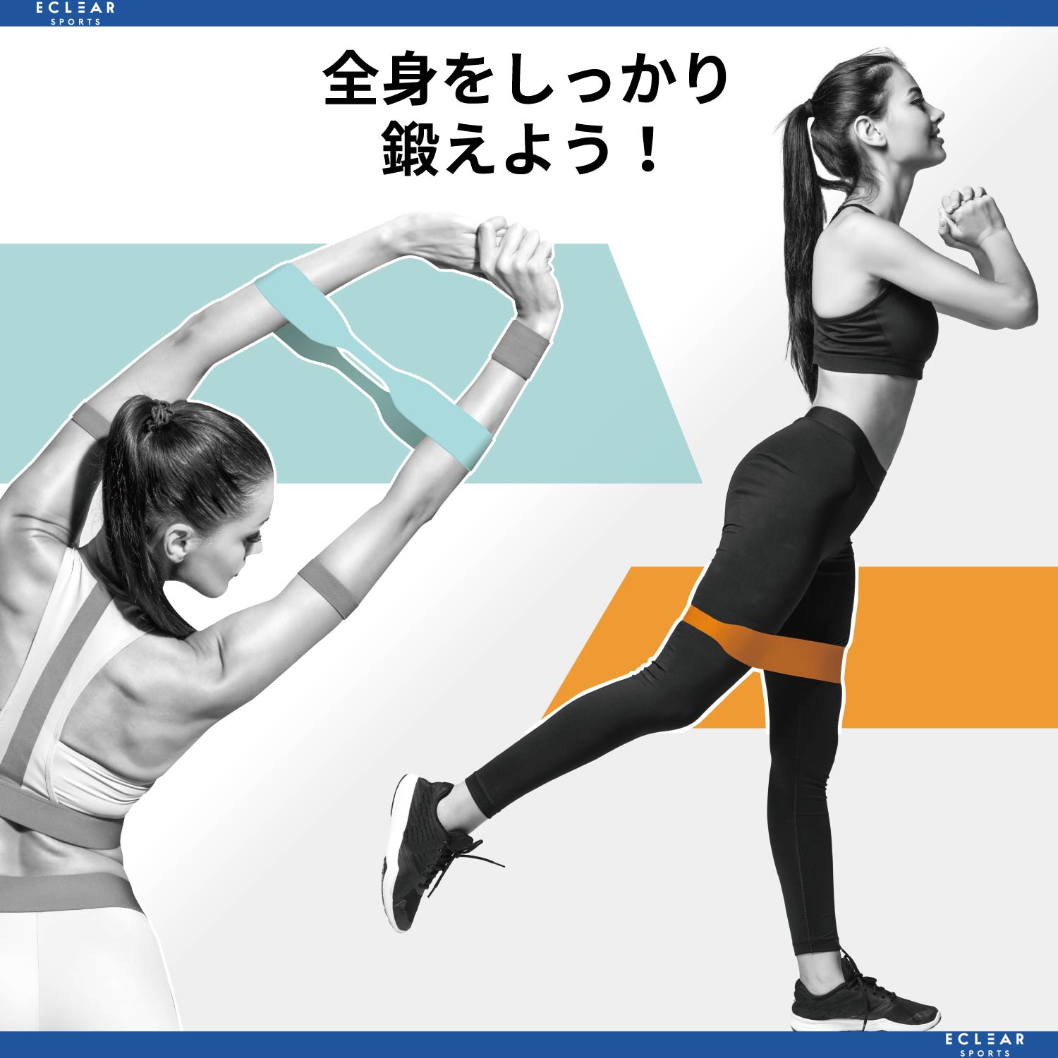 【TANP HOBBY】筋トレ好きに贈るプロテインシェイカー＆トレーニングバンドセット